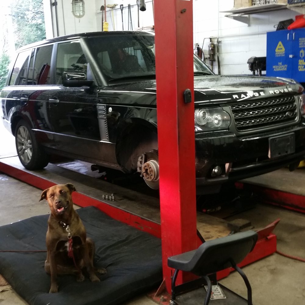 The shop dog sitting in front of a Range Rover that is mid brake job on the lift